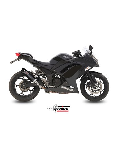 Mivv Slip-On GP carbon con tapa carbono Kawasaki Ninja 300 2013-16 / Z300 2015-16